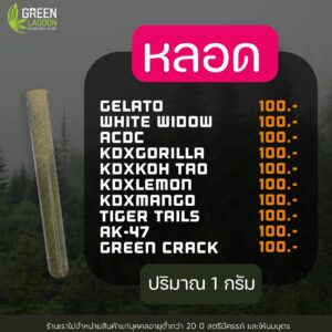 ทุกอย่าง 100.-