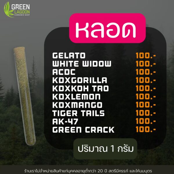 ทุกอย่าง 100.-