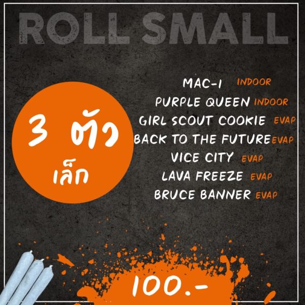Roll small 3ตัว 100.-