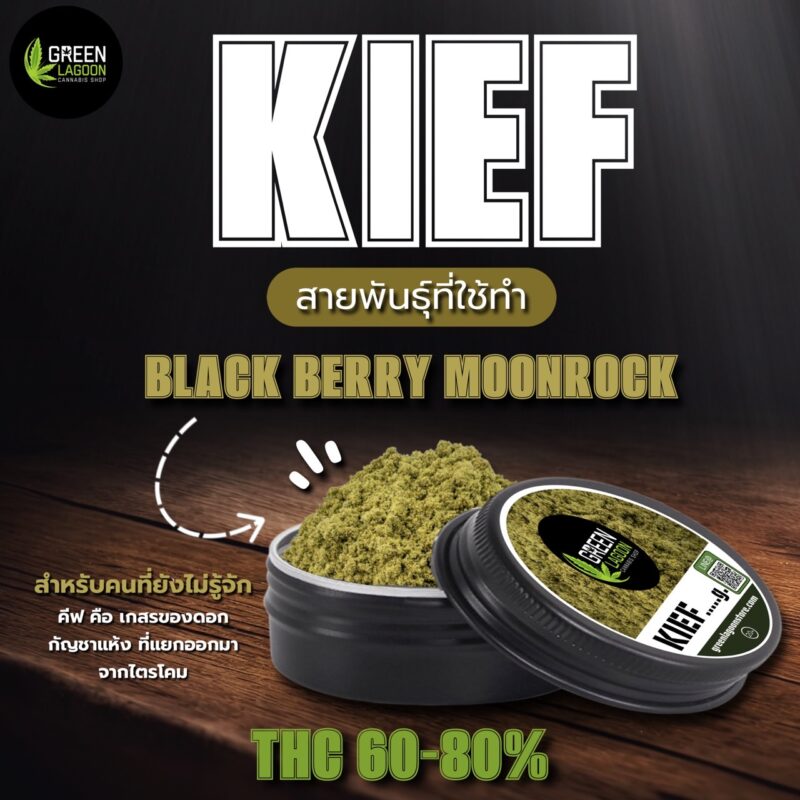 Kief