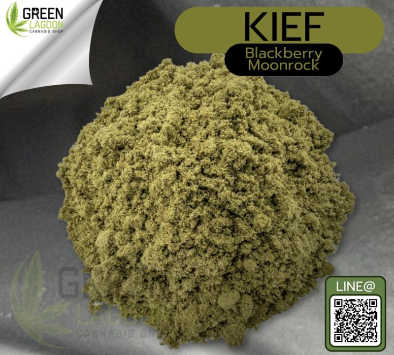 Kief
