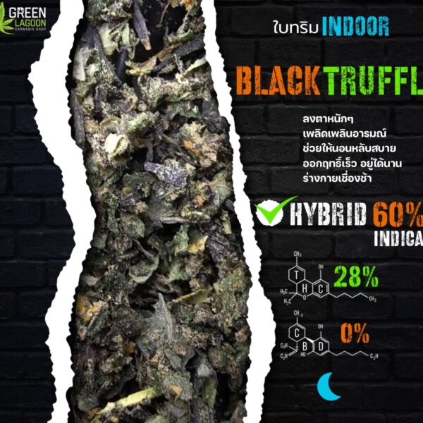 ใบทริม black truffle (indoor)