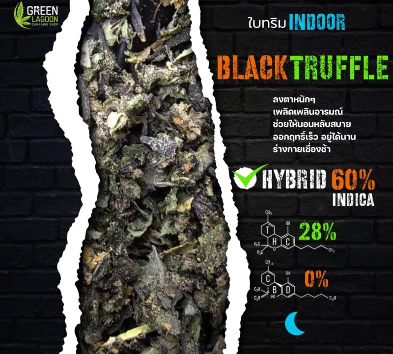 ใบทริม black truffle (indoor)
