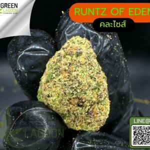 Runtz of eden