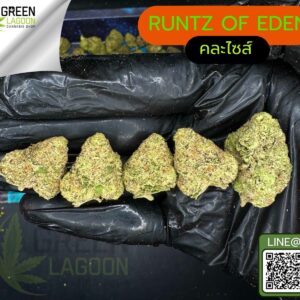 Runtz of eden