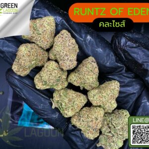 Runtz of eden