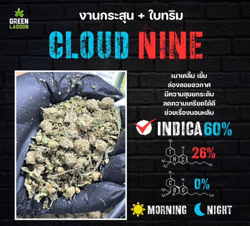 Cloud nine งานกระสุน+ใบทริม (indoor)