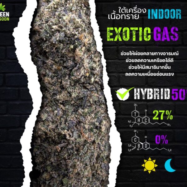 Exotic gas (ใต้เครื่องเนื้อทราย Indoor)