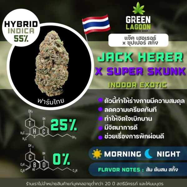 Jack herer x super skunk