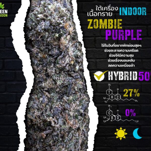 Zombie purple(ใต้เครื่องเนื้อทราย Indoor)