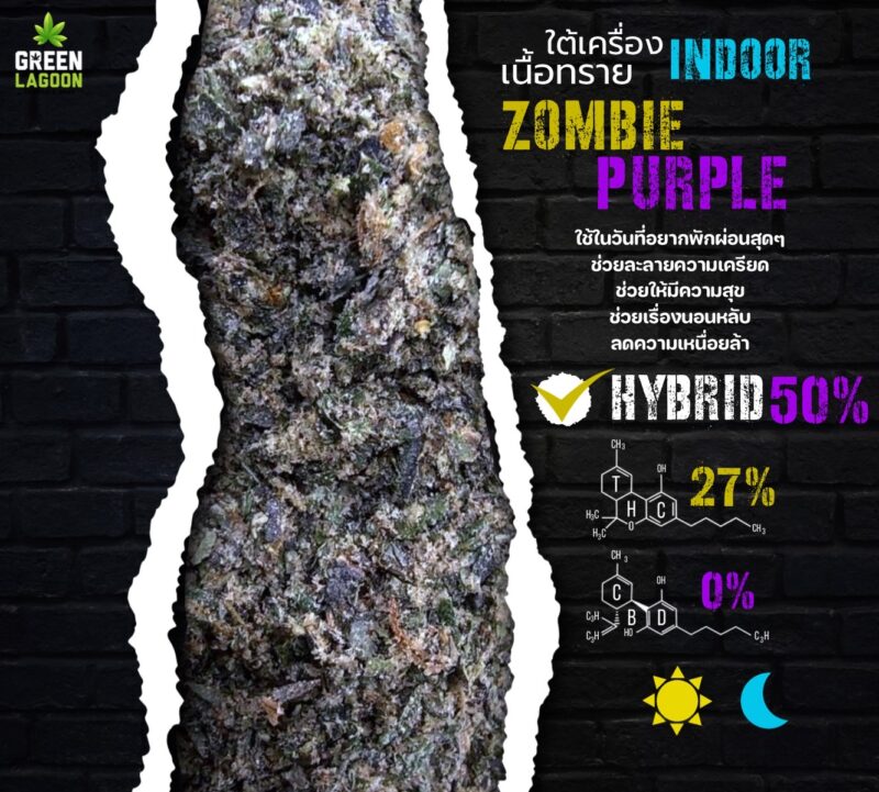 Zombie purple(ใต้เครื่องเนื้อทราย Indoor)