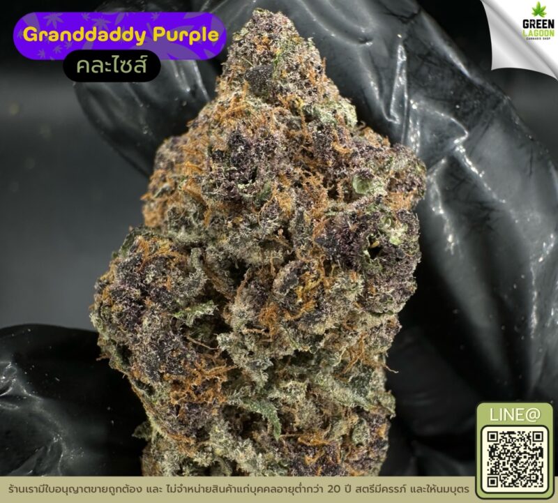 Granddaddy purple