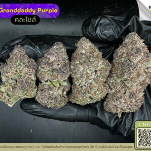 Granddaddy purple