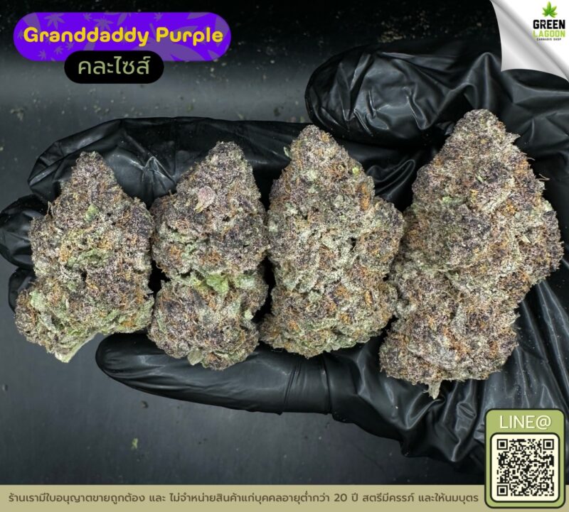 Granddaddy purple