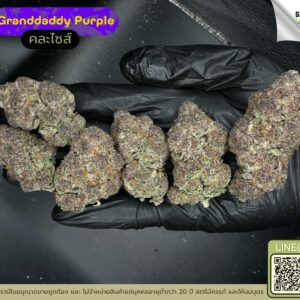 Granddaddy purple