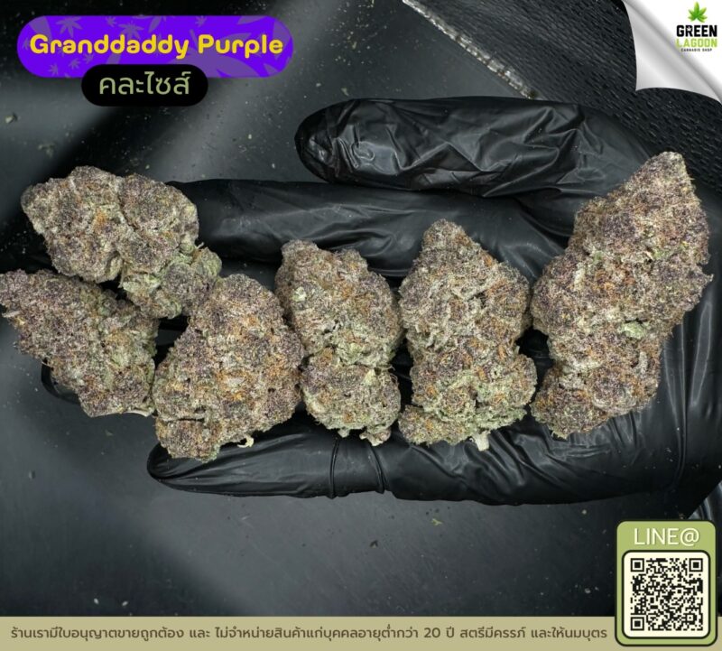 Granddaddy purple