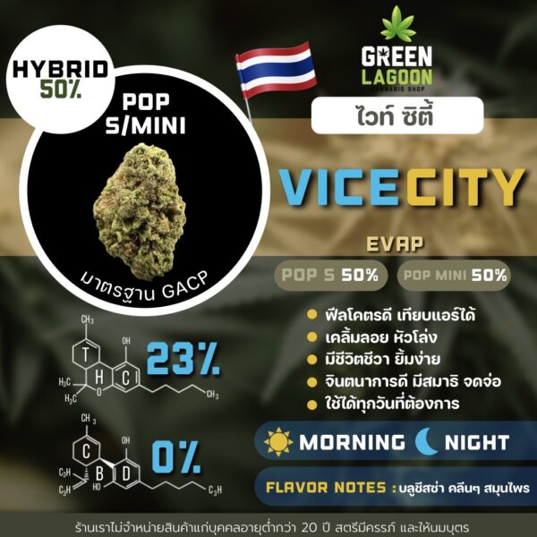 Vice city