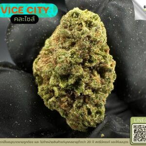 Vice city