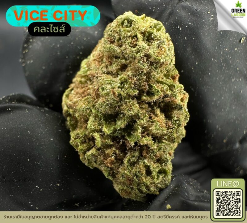 Vice city