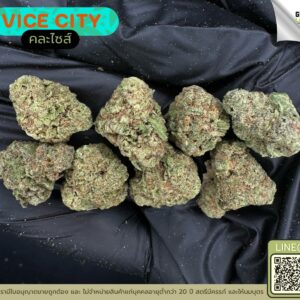Vice city
