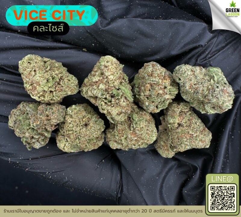 Vice city