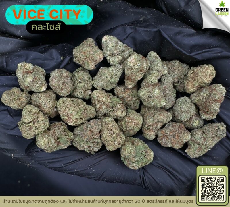Vice city