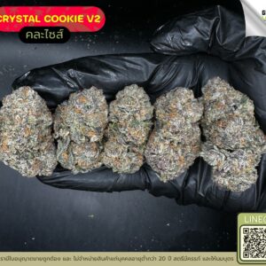 Crystal cookie V2
