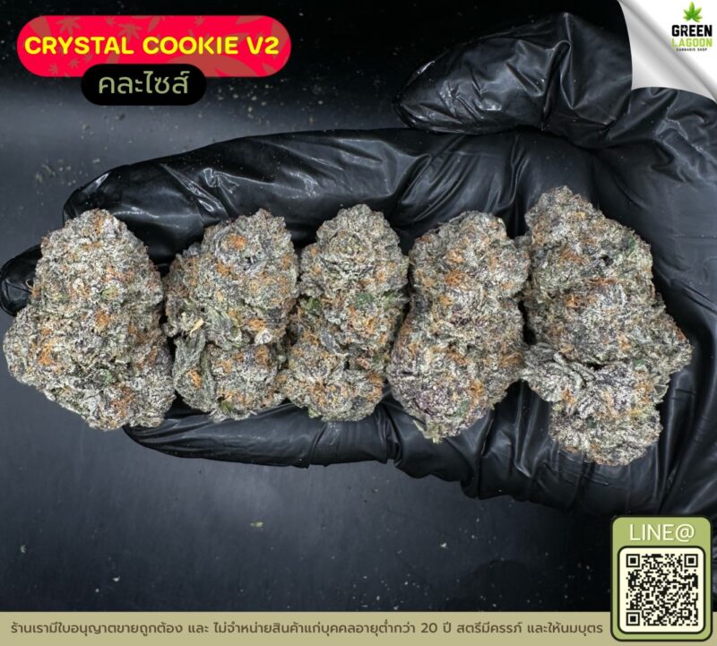 Crystal cookie V2