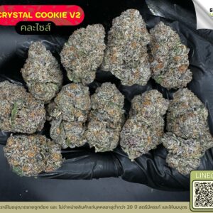 Crystal cookie V2