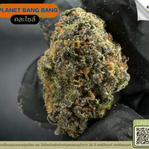 Planet bang bang