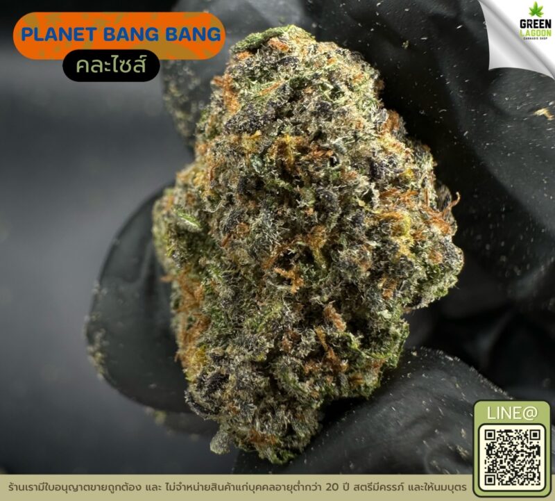 Planet bang bang