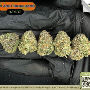 Planet bang bang