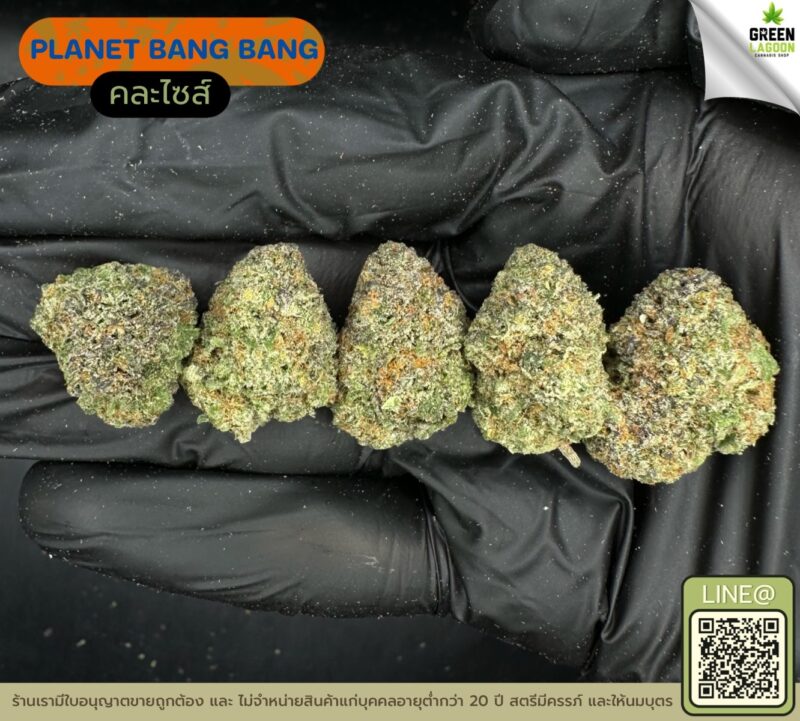 Planet bang bang