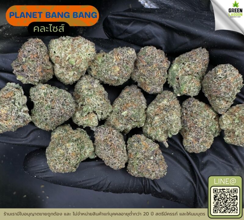 Planet bang bang