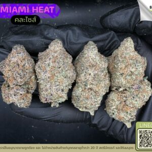 Miami heat