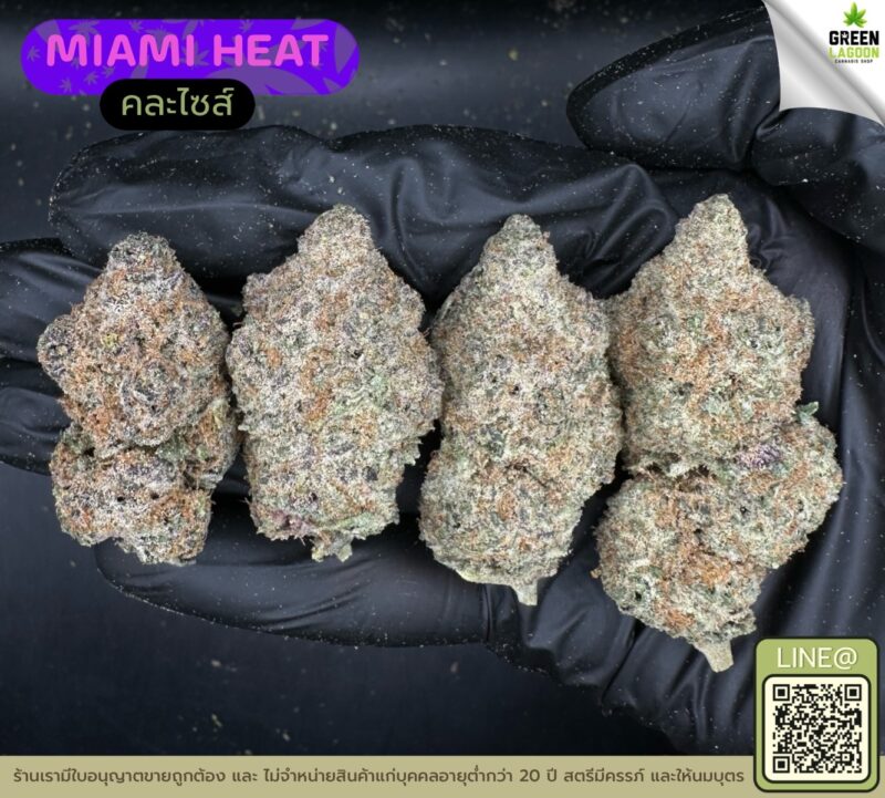 Miami heat