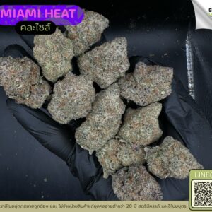 Miami heat