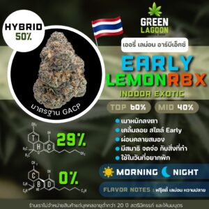 Early lemon RBX