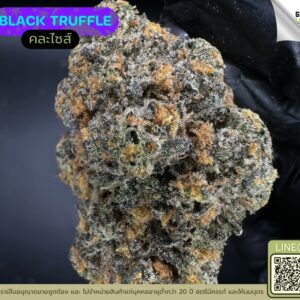 Black truffle