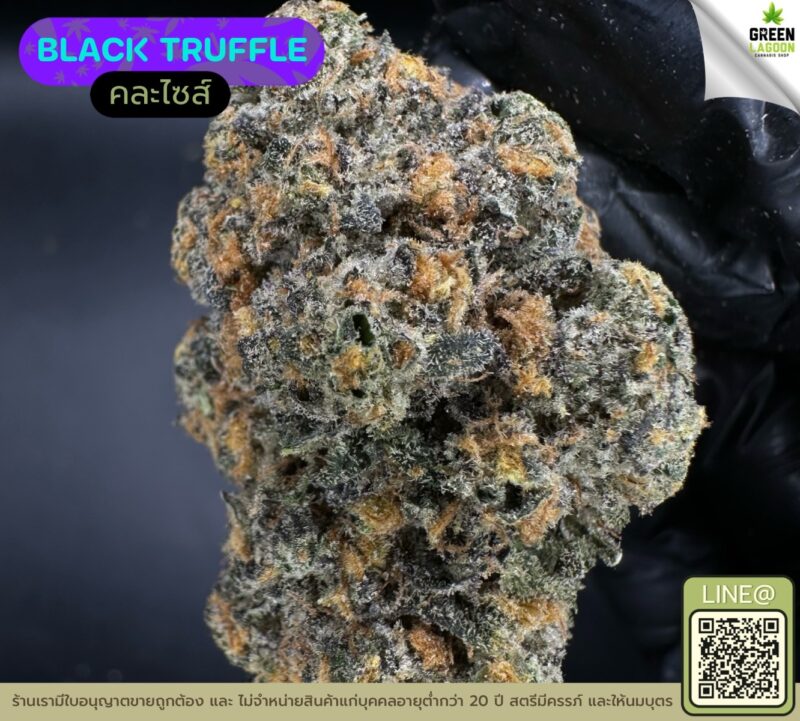 Black truffle