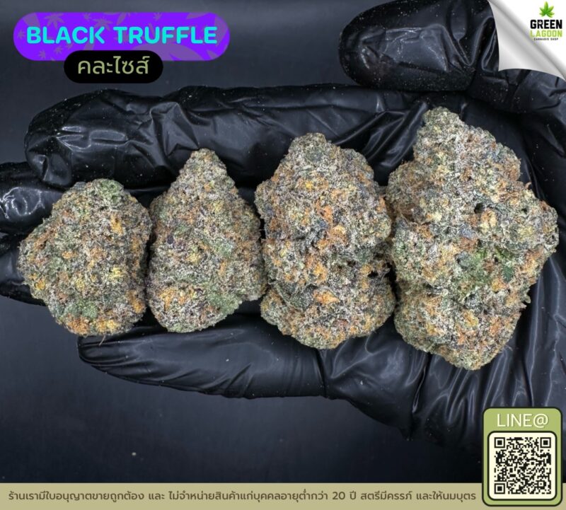 Black truffle