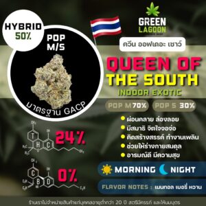 Queen of the south