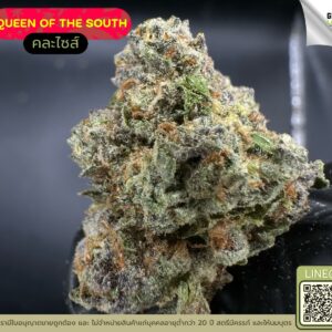 Queen of the south