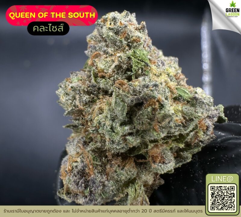 Queen of the south