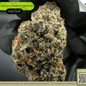 Lemon cherry gelato