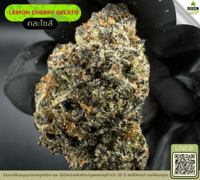 Lemon cherry gelato