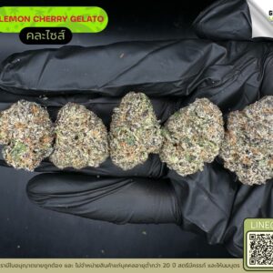 Lemon cherry gelato