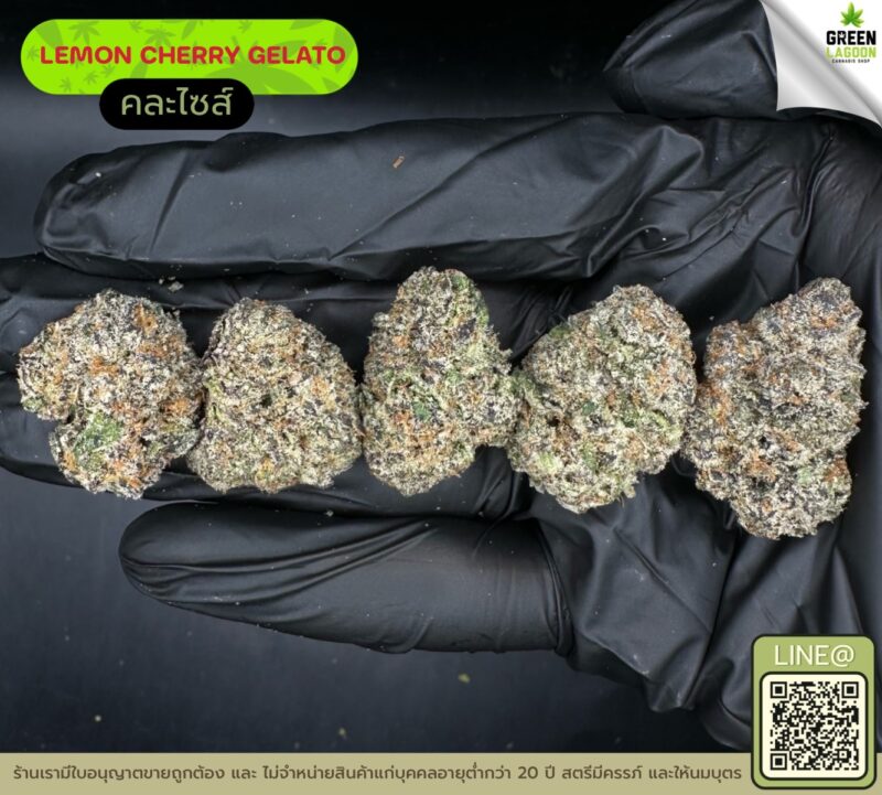Lemon cherry gelato