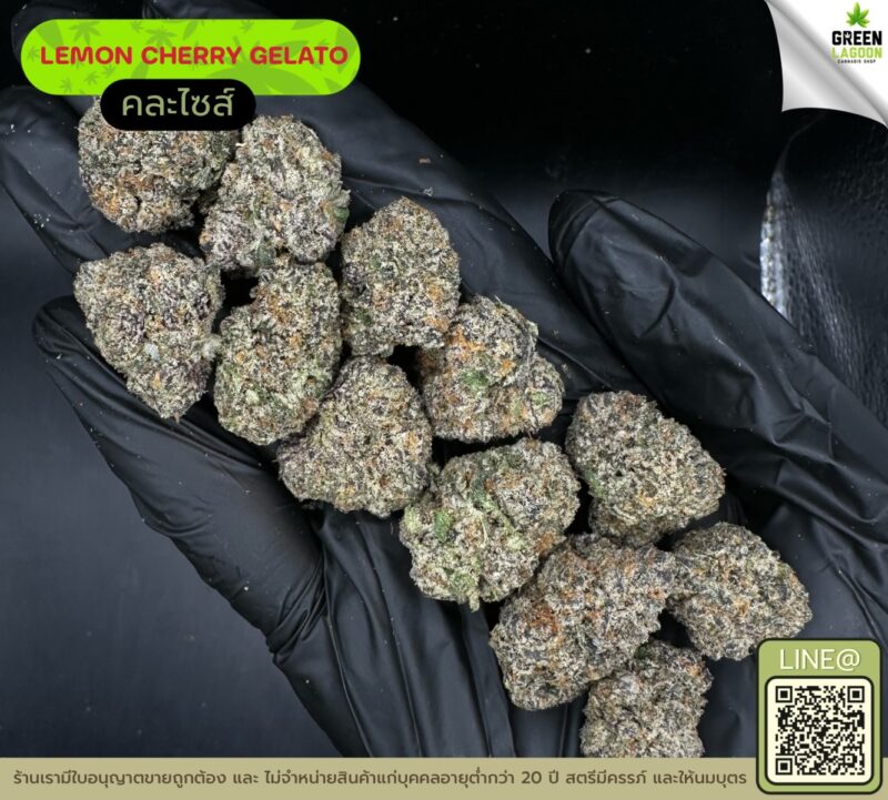 Lemon cherry gelato
