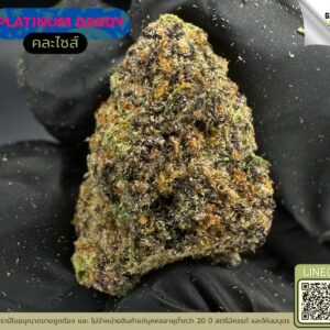 Platinum daddy